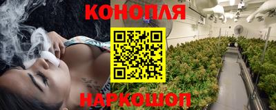 МДПВ Гагарин